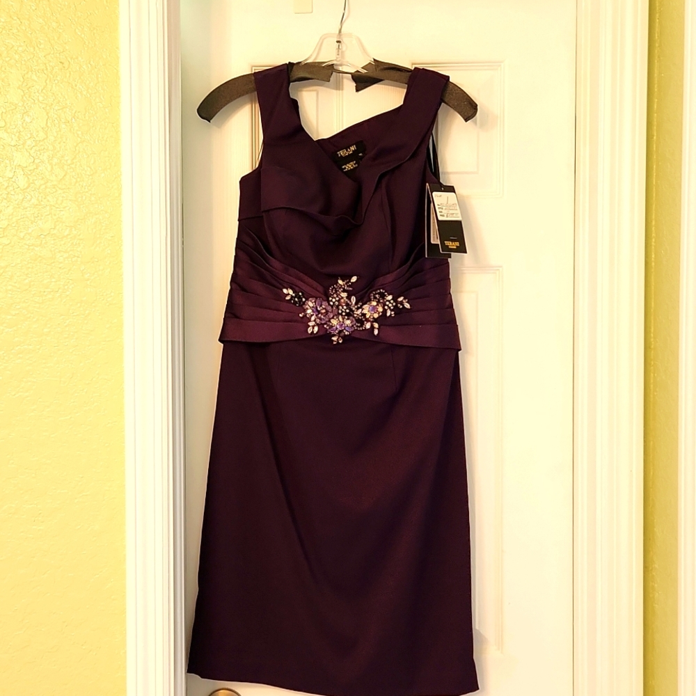 Size 10 Purple Women's Formal Dress